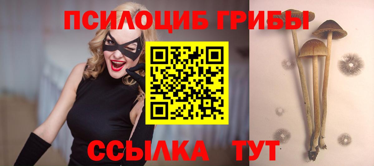 Галлюциногенные грибы мухоморы Новошахтинск