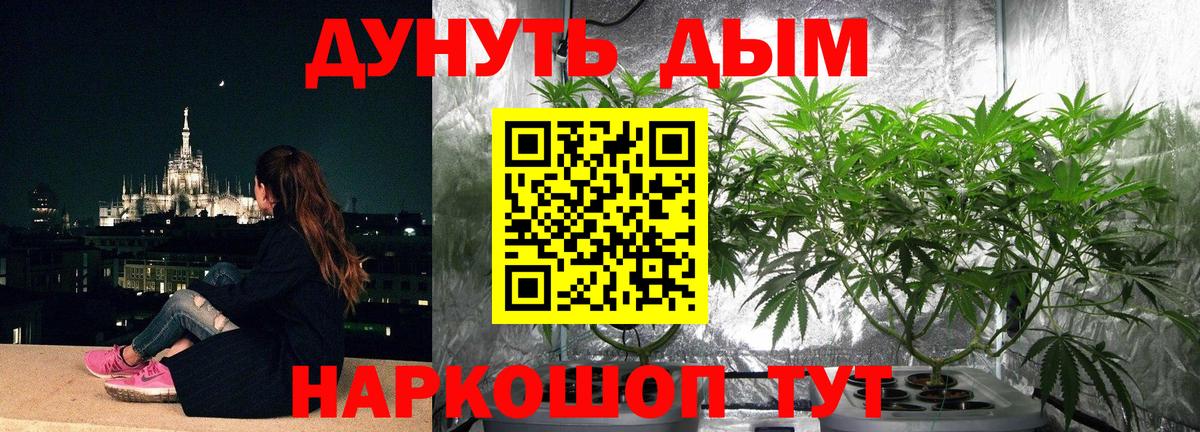 Бошки Шишки марихуана  Вход с VPN  Бошки Шишки SATIVA & INDICA  Новошахтинск  МАРИХУАНА Amnesia 